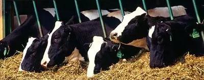 ��ʱ��ҳ��(�й���)�ٷ���վ