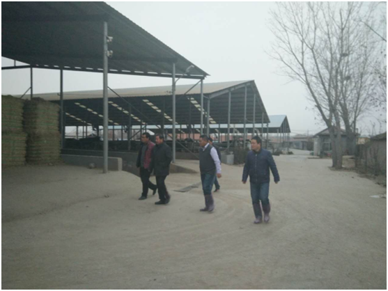 ��ʱ��ҳ��(�й���)�ٷ���վ