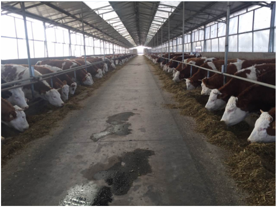 ��ʱ��ҳ��(�й���)�ٷ���վ