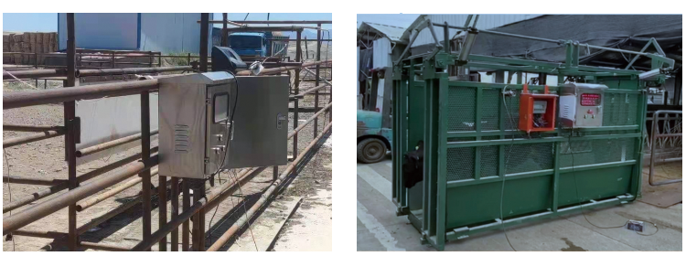 ��ʱ��ҳ��(�й���)�ٷ���վ