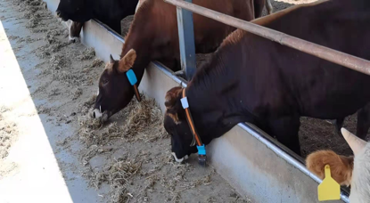 ��ʱ��ҳ��(�й���)�ٷ���վ