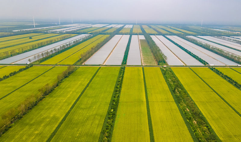 ��ʱ��ҳ��(�й���)�ٷ���վ