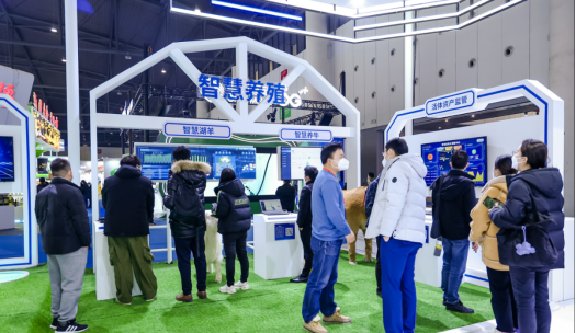 ��ʱ��ҳ��(�й���)�ٷ���վ