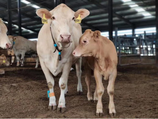 ��ʱ��ҳ��(�й���)�ٷ���վ