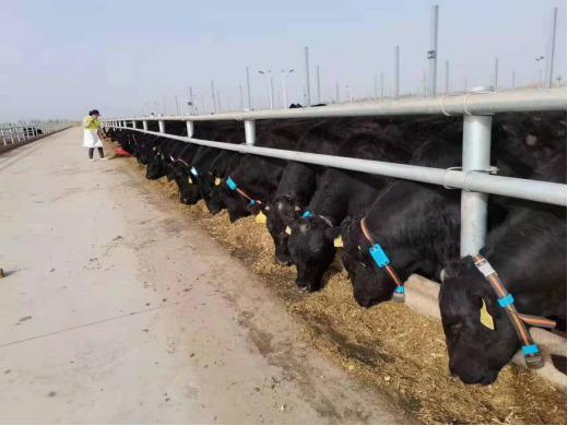 ��ʱ��ҳ��(�й���)�ٷ���վ