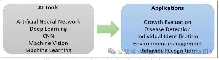 ��ʱ��ҳ��(�й���)�ٷ���վ